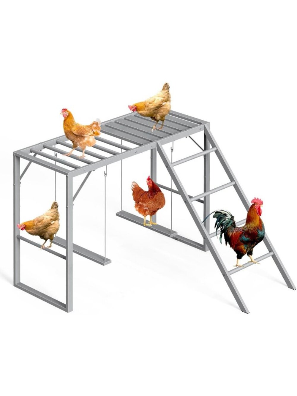 Metal Chicken Perch Swing & Roosting Bars with Ladder for Happy Coop Pets